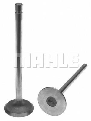 Mahle/Clevite 211-2503 Exhaust valve 2112503