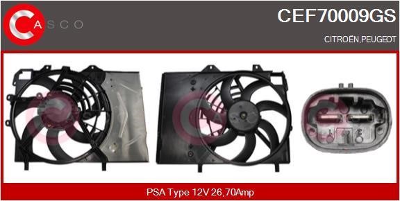 Casco CEF70009GS Electric Motor, radiator fan CEF70009GS
