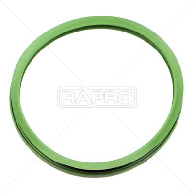 Rapro R54884 Seal, fuel sender unit R54884