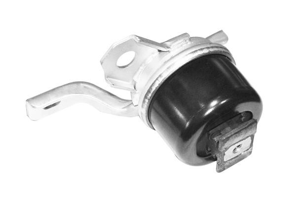 TedGum TED40730 Suspension TED40730 TED40730 TedGum Suspension