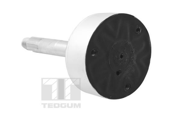 Buy TedGum TED42866 at a low price in United Arab Emirates!