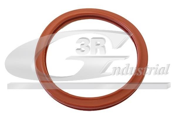 Intake manifold gasket 3RG 82680