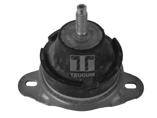 TedGum 00214163 Engine mount 00214163