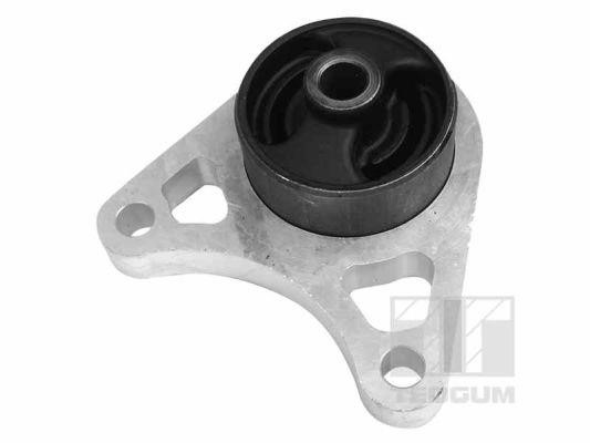 TedGum 01164615 Mounting, differential 01164615
