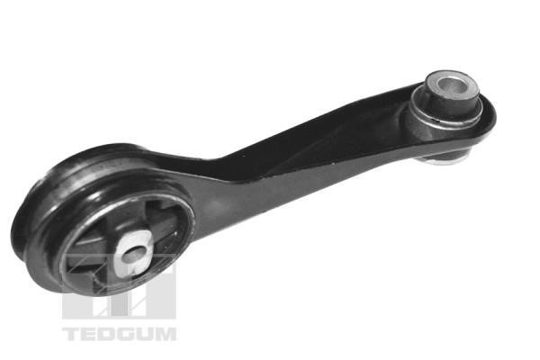 TedGum TED84313 Suspension TED84313 TED84313 TedGum Suspension