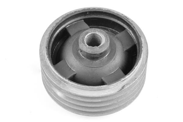 Engine mount TedGum 00673071