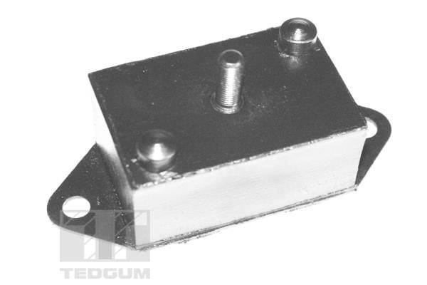 TedGum TED67911 Engine mount TED67911
