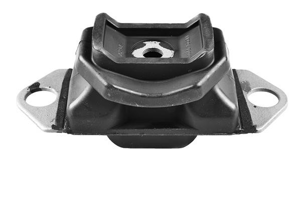 TedGum TED81181 Engine mount TED81181