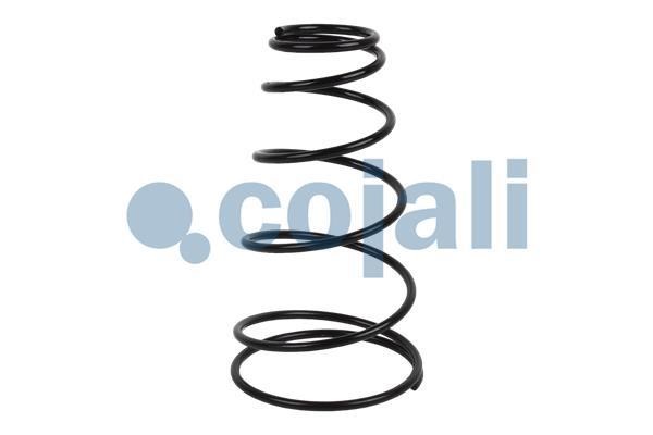 Cojali 6052003 Oil level sensor 6052003