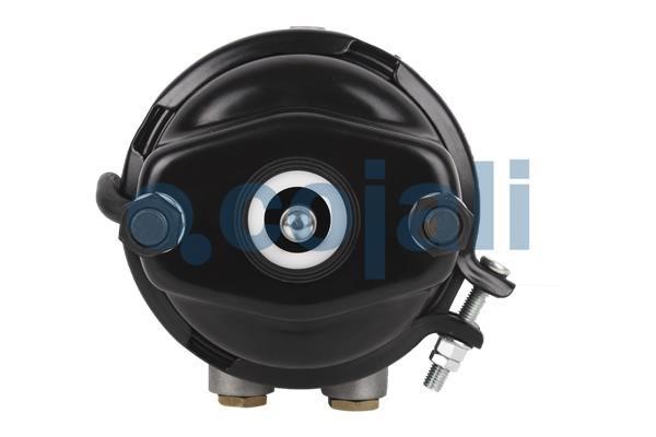Buy Cojali 2251505 at a low price in United Arab Emirates!