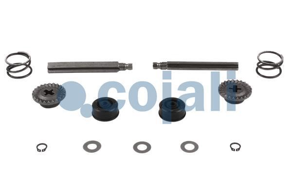 Cojali 6082509 Repair Kit, brake caliper 6082509