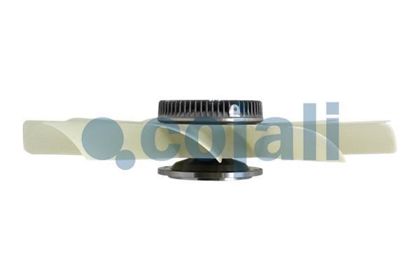Hub, engine cooling fan wheel Cojali 7021213