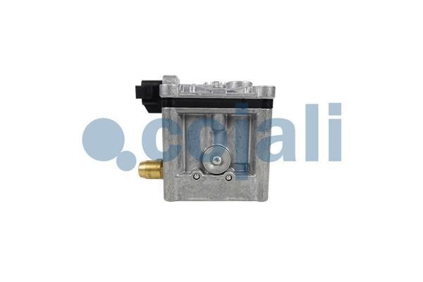 Cojali Exhaust valve – price