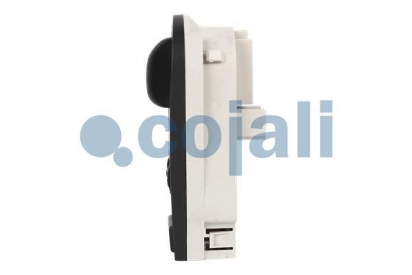 Buy Cojali 2260485 at a low price in United Arab Emirates!