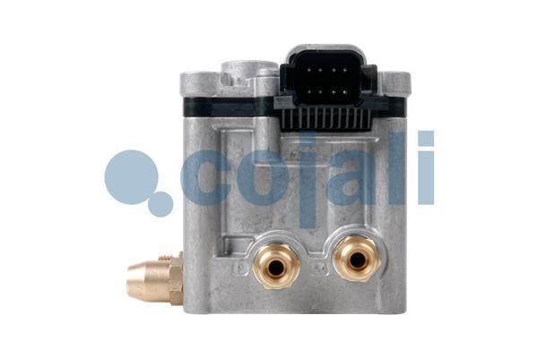 Exhaust valve Cojali 2880228