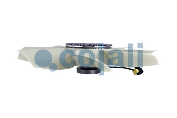 Hub, engine cooling fan wheel Cojali 7025410