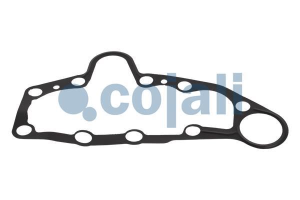 Cojali 6086557 Repair Kit, brake caliper 6086557