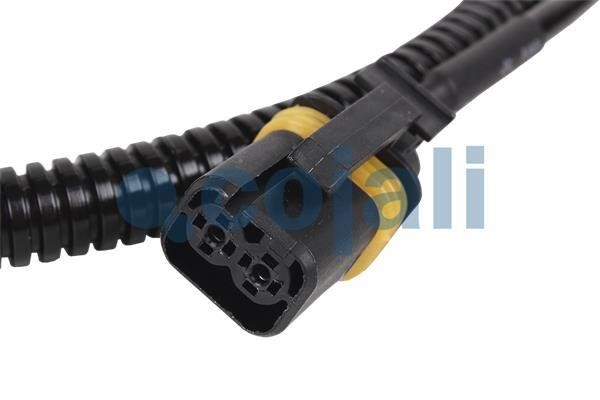 Sensor Cojali 2261156