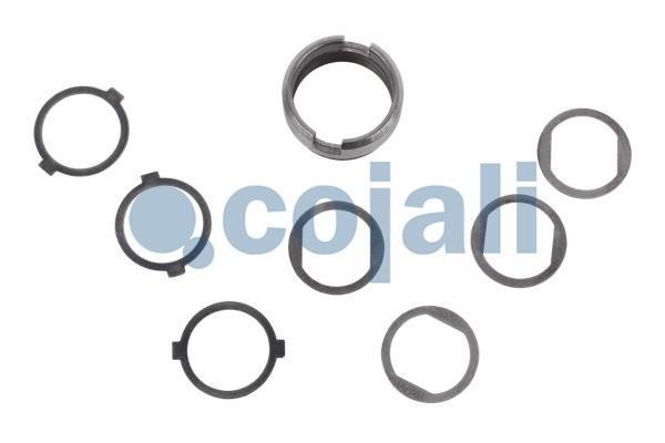 Cojali 6086569 Repair Kit, brake caliper 6086569