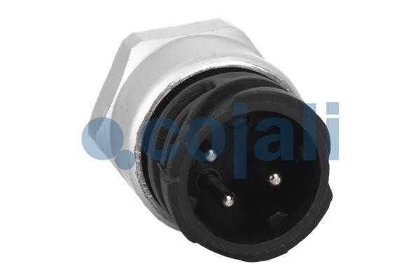 Sensor Cojali 2260095