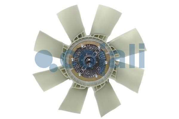 Fan Cojali 7085120