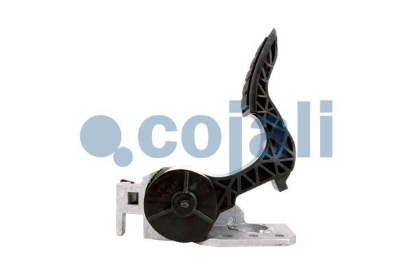Buy Cojali 2260500 – good price at EXIST.AE!