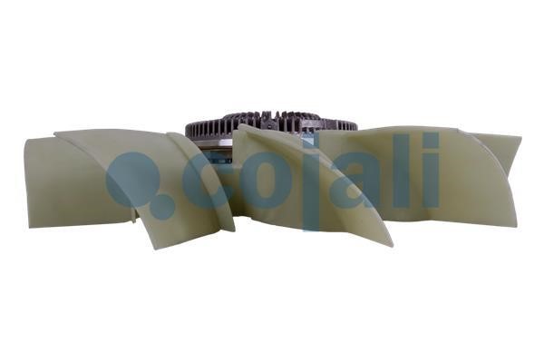 Fan Cojali 7025137