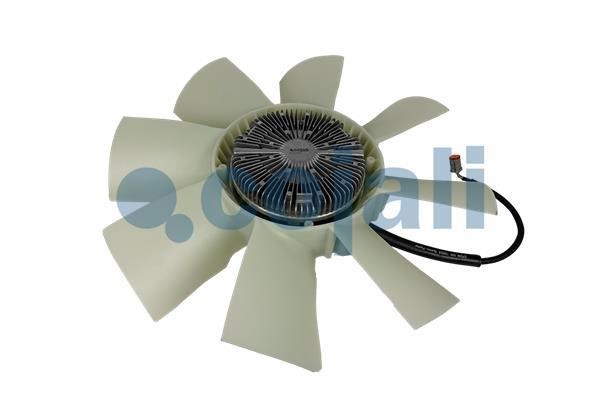 Hub, engine cooling fan wheel Cojali 7255401