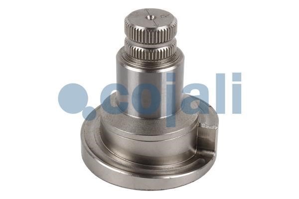 Cojali 6086573 Repair Kit, brake caliper 6086573