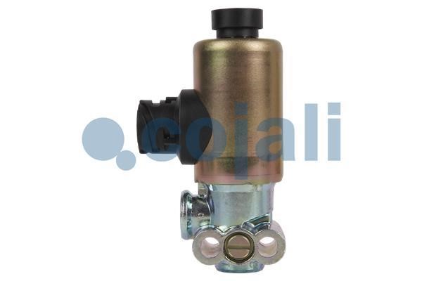 Cojali Valve – price 158 PLN