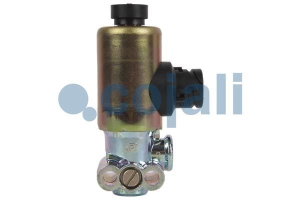 Buy Cojali 2218215 – good price at EXIST.AE!
