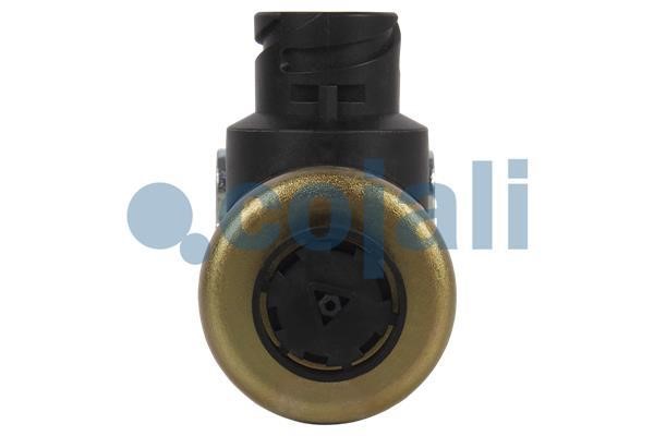 Valve Cojali 2218215
