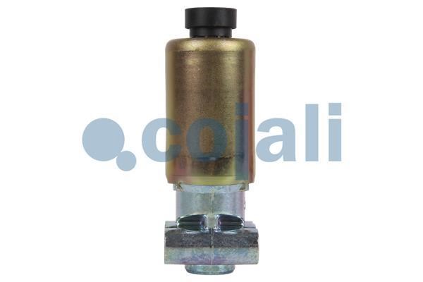 Buy Cojali 2218215 at a low price in United Arab Emirates!