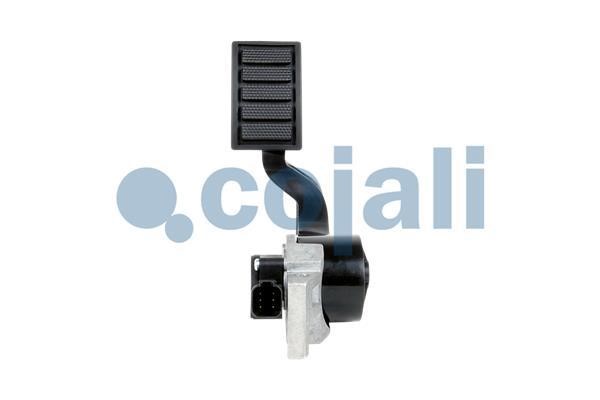 Buy Cojali 2260503 at a low price in United Arab Emirates!