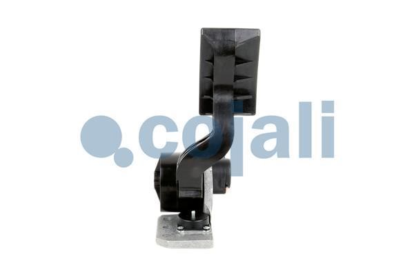 Cojali Accelerator pedal position sensor – price 765 PLN