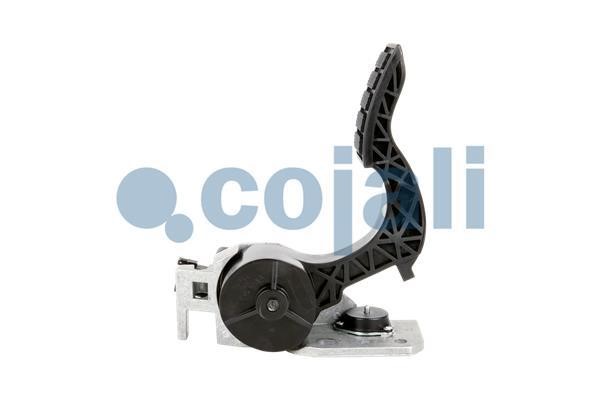 Buy Cojali 2260503 – good price at EXIST.AE!