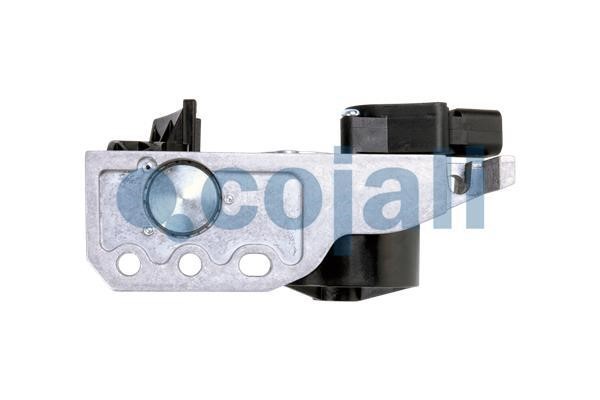 Accelerator pedal position sensor Cojali 2260503