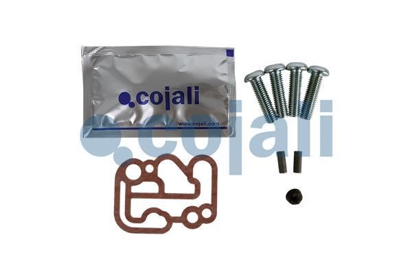 Cojali 6012298 Repair Kit 6012298