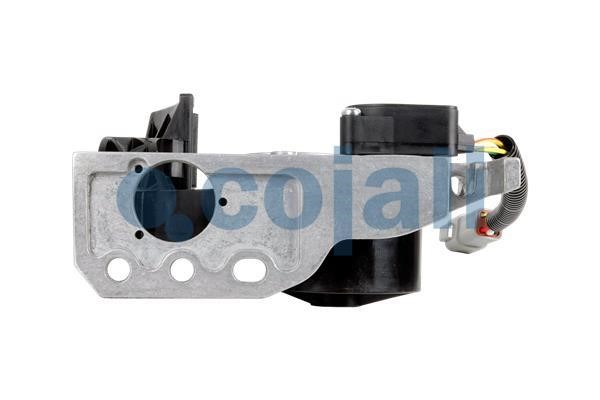 Cojali Accelerator pedal position sensor – price