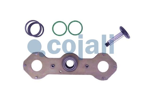 Cojali 6086580 Repair Kit, brake caliper 6086580