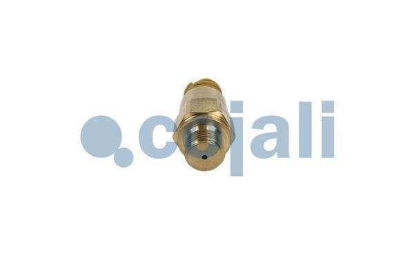 Fuel pressure sensor Cojali 2260987