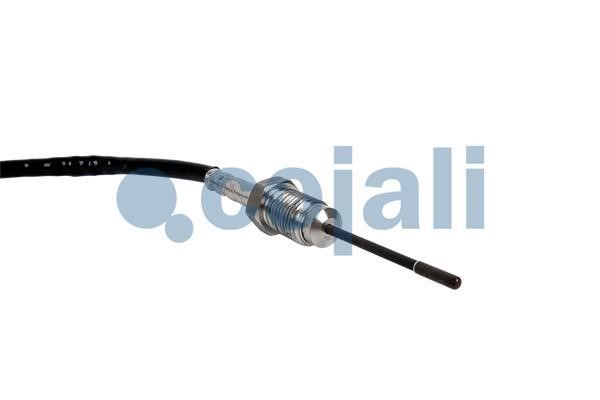 Buy Cojali 2262007 at a low price in United Arab Emirates!