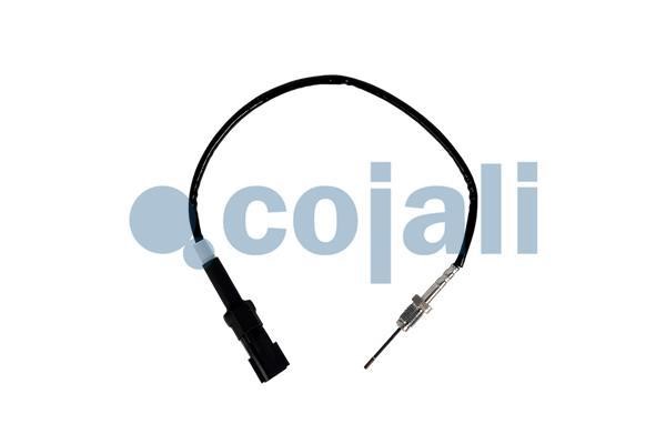 2262007 Cojali Exhaust gas temperature sensor