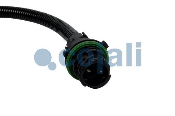 Buy Cojali 2262003 at a low price in United Arab Emirates!