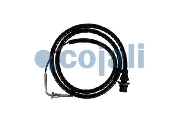 2262003 Cojali Exhaust gas temperature sensor