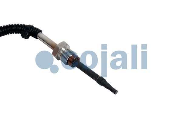 Buy Cojali 2260781 at a low price in United Arab Emirates!
