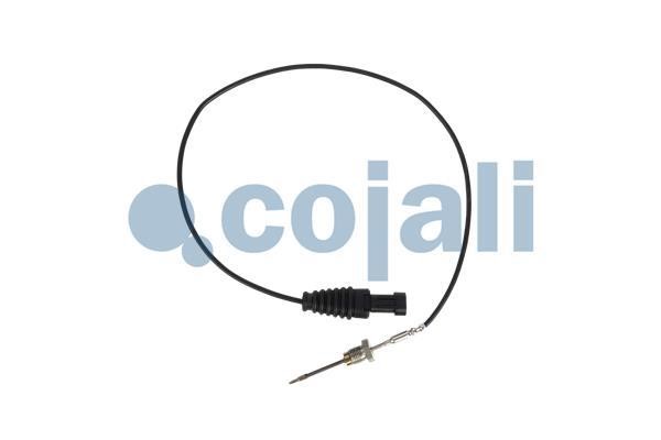 Cojali 2260899 Exhaust gas temperature sensor 2260899