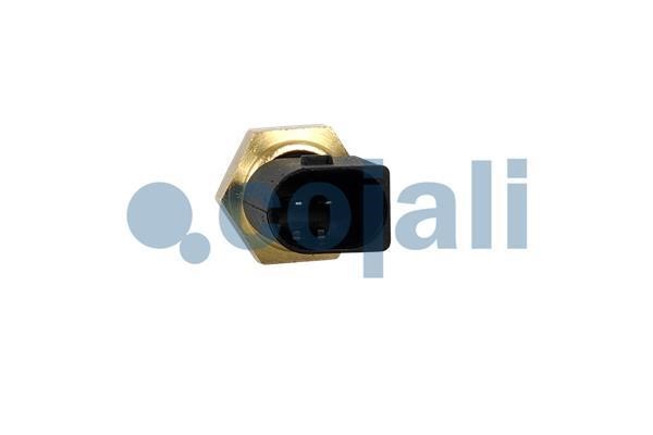 Buy Cojali 2260948 at a low price in United Arab Emirates!