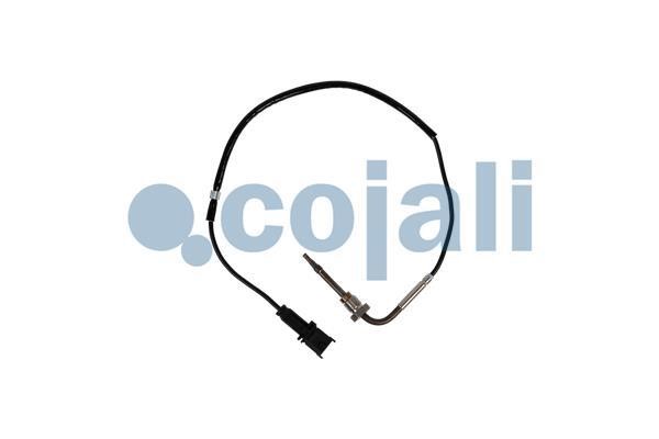 2262016 Cojali Exhaust gas temperature sensor