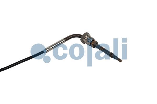 Buy Cojali 2262016 at a low price in United Arab Emirates!